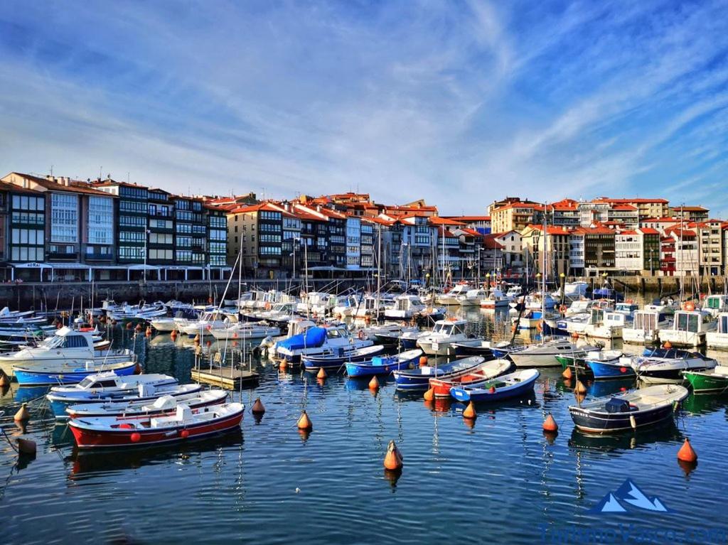 Coqueto Apartamento En El Casco Viejo レケイティオ エクステリア 写真